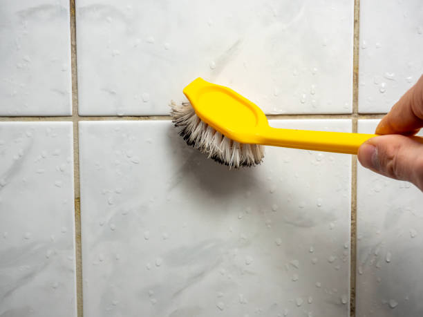Best Emergency Mold Removal  in Spencer, IN