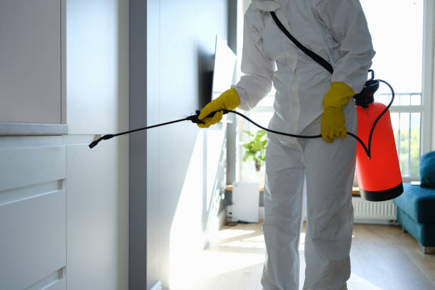 Best Residential Mold Removal  in Spencer, IN