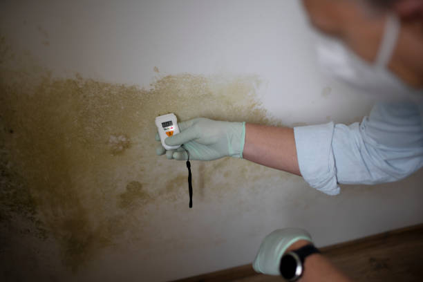 Best Emergency Mold Removal  in Spencer, IN