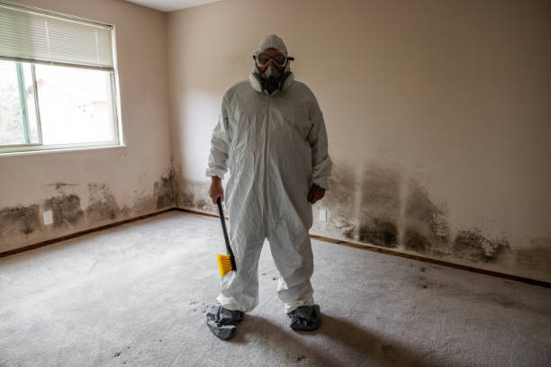 Best Crawl Space Mold Removal  in Spencer, IN